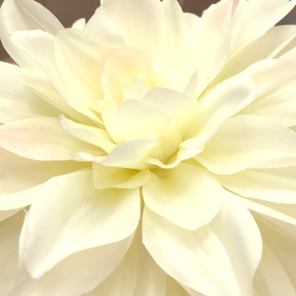 Meet your Posher, Kylee - Picture 1 of 1